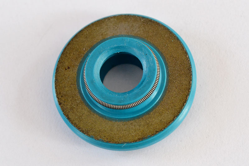 Blue Gas Reduction Plate Type Positively-mounted Unsealed Gas Lip Oil Seal